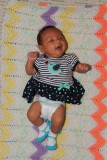 DSCF7358.jpg