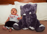 DSCF7690.jpg