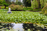 Beacon Hill Park, Victoria