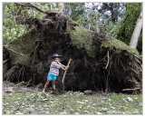 Storm Damage AHP Sept. 2014