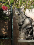Lucy