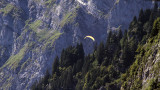 Gleitschirmflieger/ Paraglider