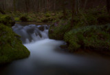 Une riviere en Alsace