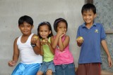 Guava fruit pickers