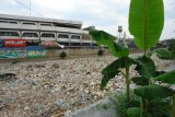 Abandoned 2