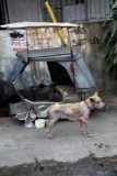 Malabon-2007-8b.JPG