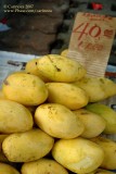 'Manila' Mangoes (from Zambales!)