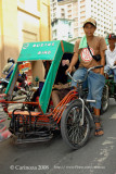 Pedicab Driver