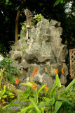 Rock Garden