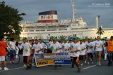 Firefly Lighting group