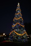 Epcots Christmas tree