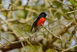 Aransas NWR 1-17-14 0041-1.JPG