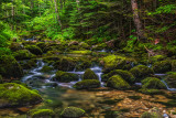 White Mtns NH 8-7-14 0439-Edit-Edit-156.JPG