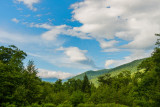 White Mtns NH 8-7-14 0657-Edit-190.JPG