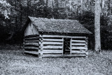 Great Smokey Mtns NP 10-28-14 0650-Edit-185.JPG