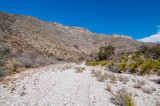 Guadalupe Mtns NP 3-14-12 0937-0154.jpg