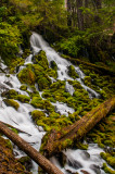 Umpqua River 8-2-09 1385-0269.jpg