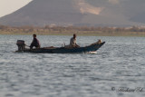 Local Fishermen