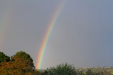 Week 52 - Rainbow 2.jpg