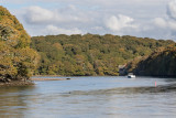 Week 42 - River Erme near Wonwell Beach 2.jpg