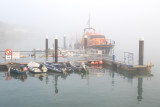 Week 48 - Foggy Morning at Whitestrand.jpg