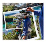 Point Lobos Painter