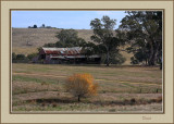 Old Shearing Shed 