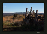 Cattle loading ramp 