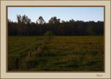 Farmland along the Warburton Trail 