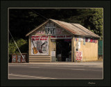 Mt.  Little Joe nursery and music store