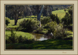 Woori Yallock Creek 