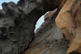 Part of Elephant Rock