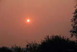 Smoke from Bushfires
