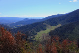 Nicholl Lookout View