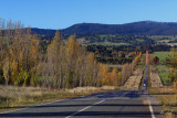 Mansfield