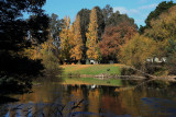Goulburn River