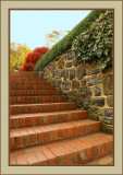 Cloud Hill Gardens