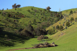 Strath Creek