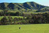 Strath Creek