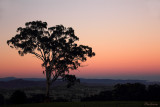 Sunrise in the High Country