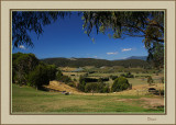 Yarra Glen countryside