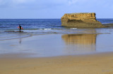 Bird Rock