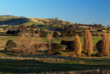 Mansfield
