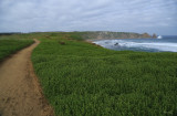 Trail to Cape Woolamai