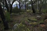 Grampians National Park