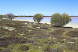 Pink Lake