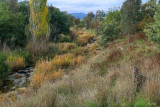 Broken River