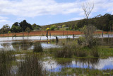 Mirboo North