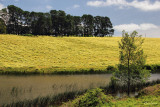 Thorpdale