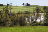 Small lake on local farm